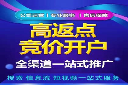 某某SEM服务公司成功案例：从数据出发的营销策略